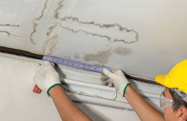 Reliable Basement Water Removal contractor in Lawnside, NJ by Water Damage Irwin